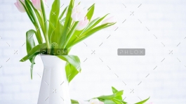 demo-attachment-783-brooke-lark-210780@2x